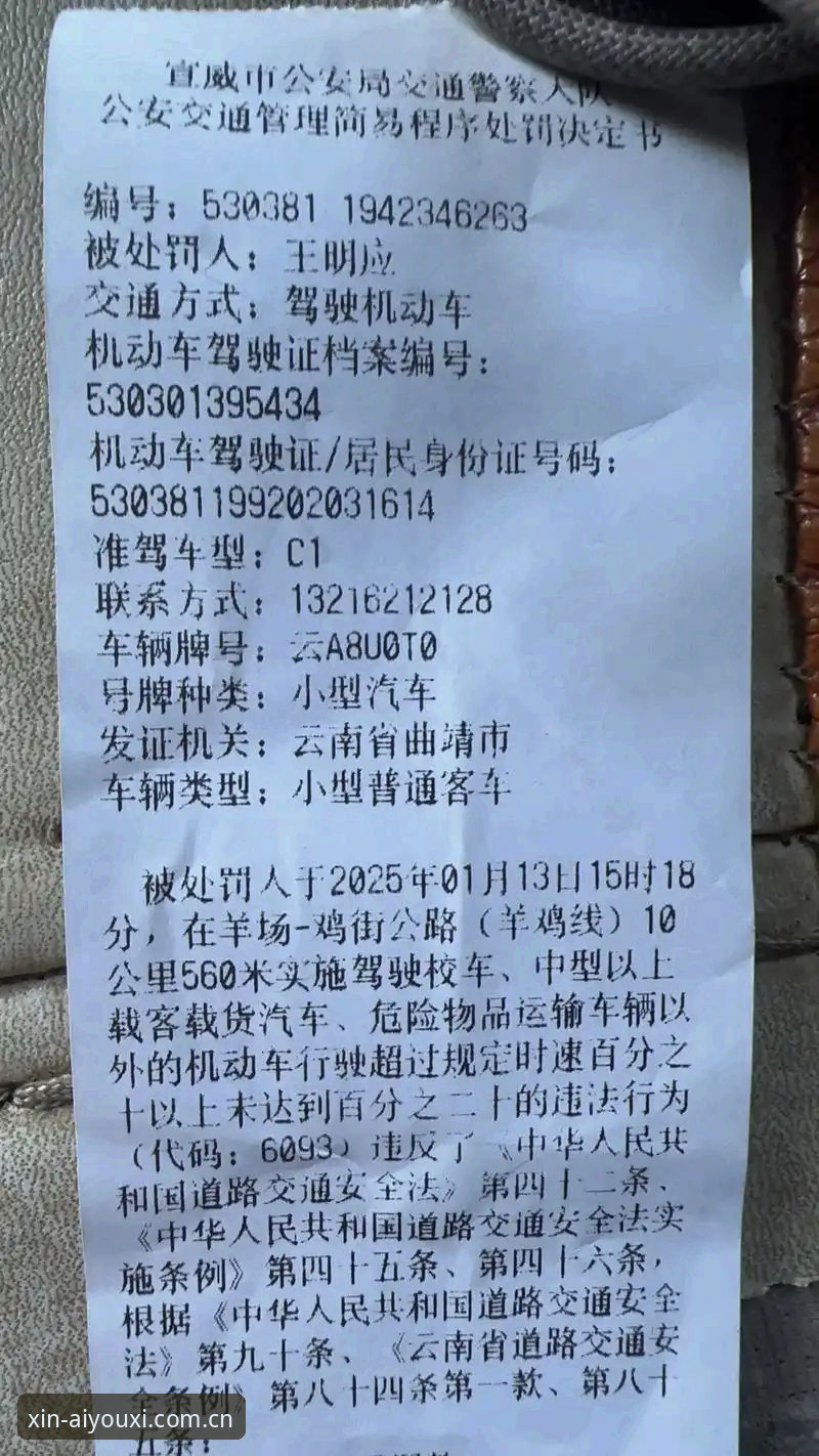 摩纳哥维修区超速罚单背后，3个你必须知道的细节